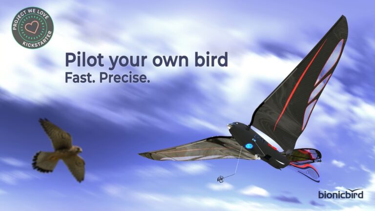 The Swift | Natural Flight Reinvented